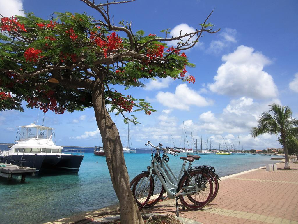 Kas Bongo Hotel Playa Buitenkant foto